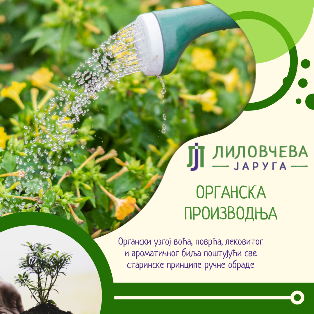 Ускоро страница 2